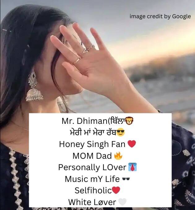  Instagram Bio In Punjabi Attitude