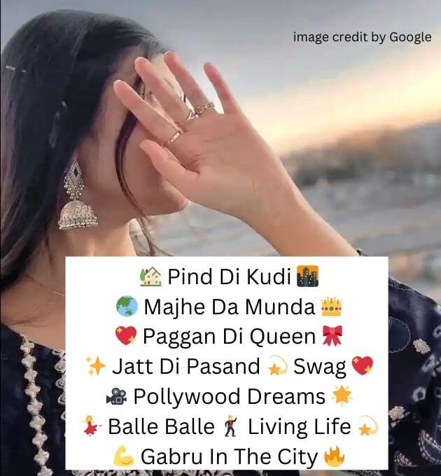  Instagram Bio In Punjabi Attitude