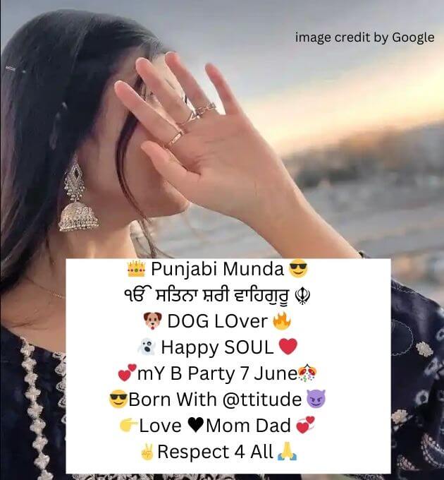  Instagram Bio In Punjabi Attitude