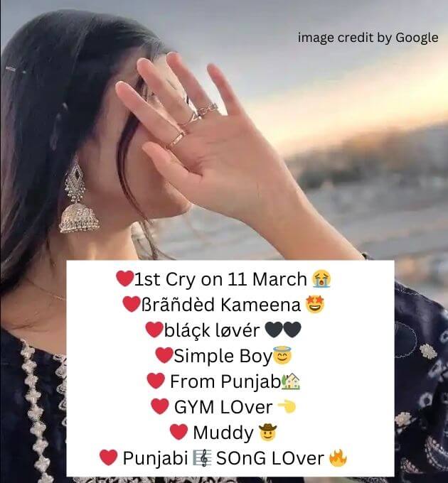  Instagram Bio In Punjabi Attitude