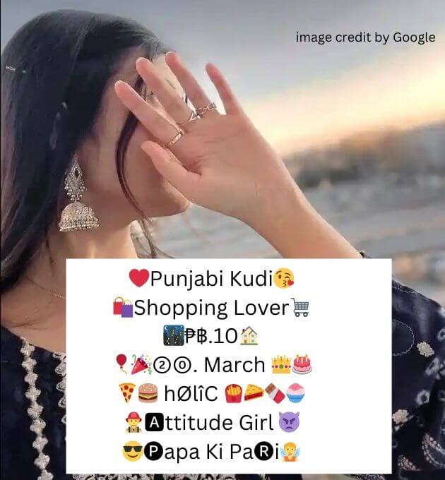  Instagram Bio In Punjabi Attitude