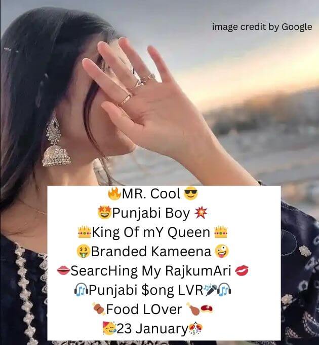  Instagram Bio In Punjabi Attitude