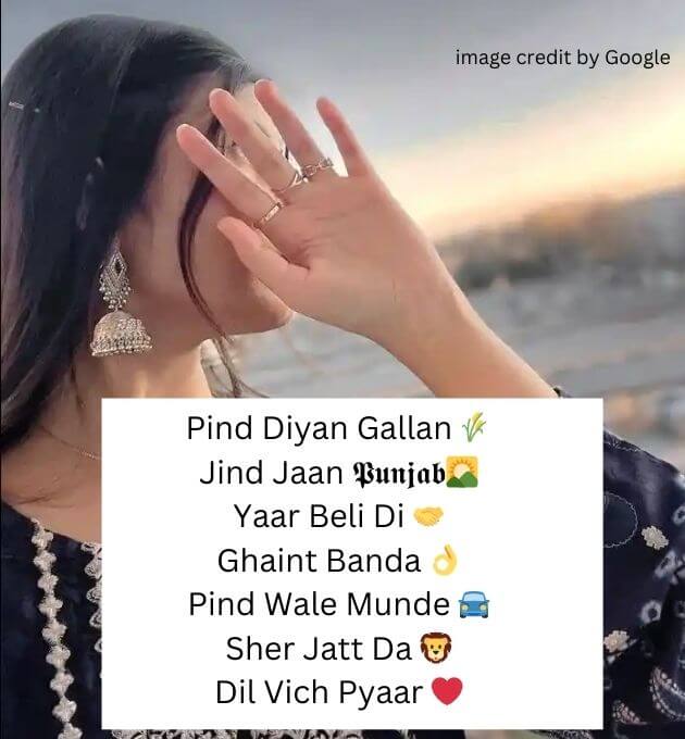  Instagram Bio In Punjabi Attitude