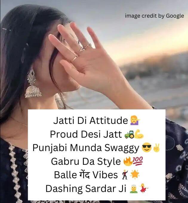  Instagram Bio In Punjabi Attitude