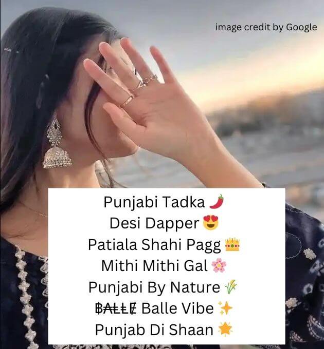  Instagram Bio In Punjabi Attitude