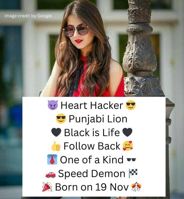 Bio For Instagram in Punjabi