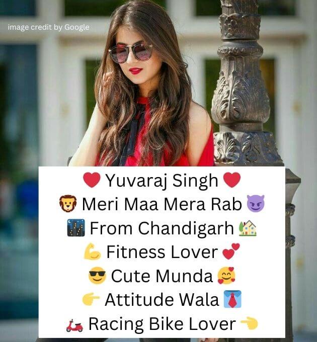 Bio For Instagram in Punjabi