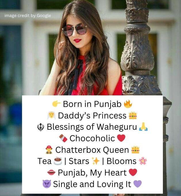 Bio For Instagram in Punjabi