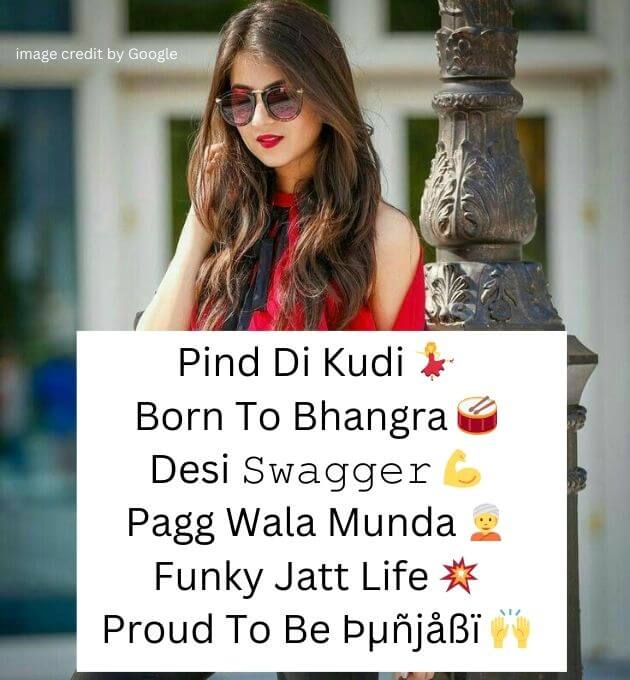 Bio For Instagram in Punjabi