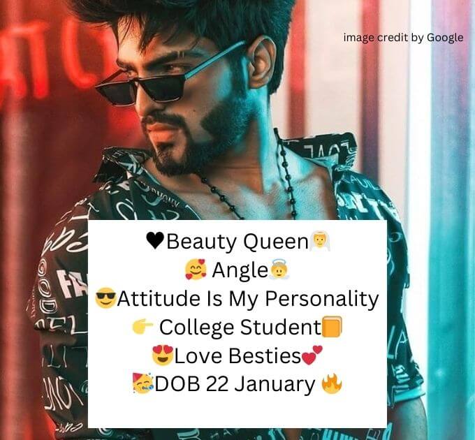 Bio For Instagram For Girls Attitude