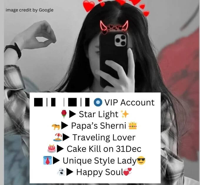 Instagram Bio Ideas With Emojis