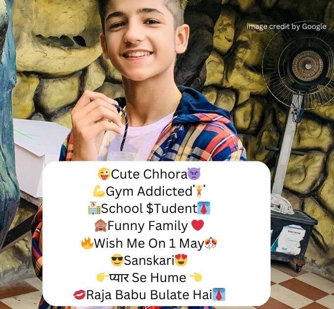 Funny Instagram Bio In Hind