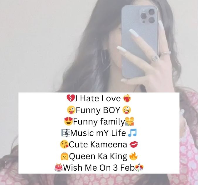 Funny Hindi Bio For Instagram