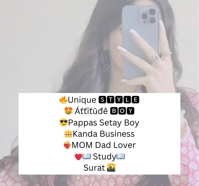 Funny Hindi Bio For Instagram