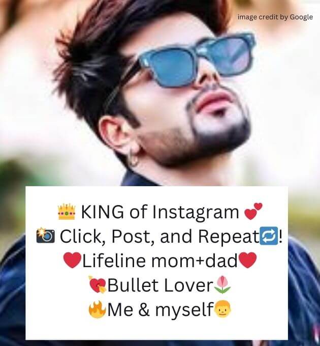 Instagram Bio For Boys Attitude Stylish