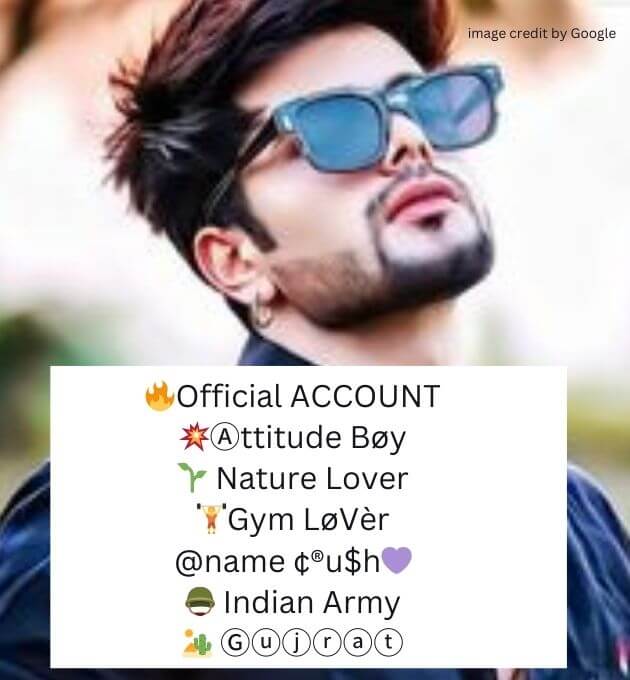 Instagram Bio For Boys Attitude Stylish