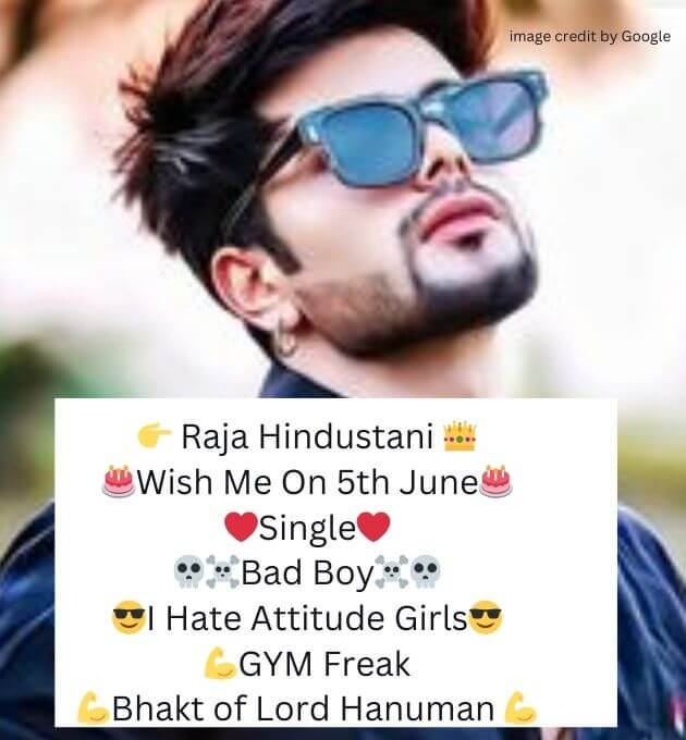 Instagram Bio For Boys Attitude Stylish