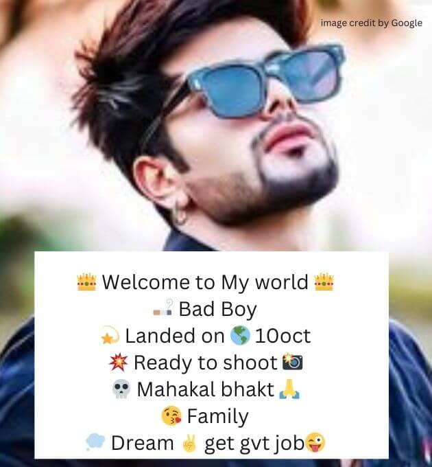 Instagram Bio For Boys Attitude Stylish