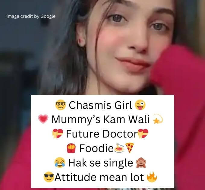 Instagram Bio For Girls Stylish Font Attitude