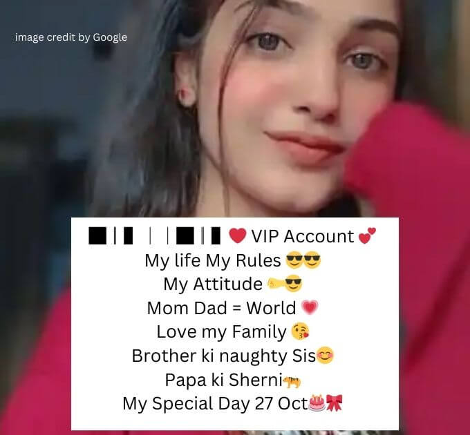 Instagram Bio For Girls Stylish Font Attitude