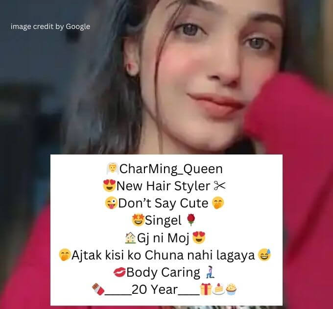 Instagram Bio For Girls Stylish Font Attitude