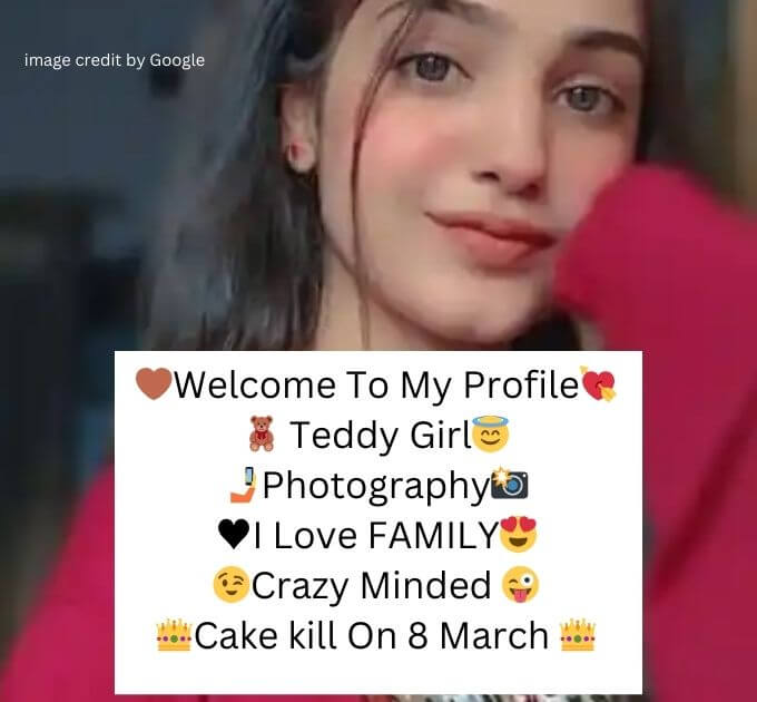 Instagram Bio For Girls Stylish Font Attitude