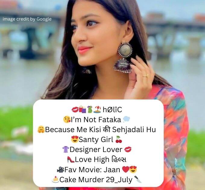 Instagram Bio For Girls Attitude