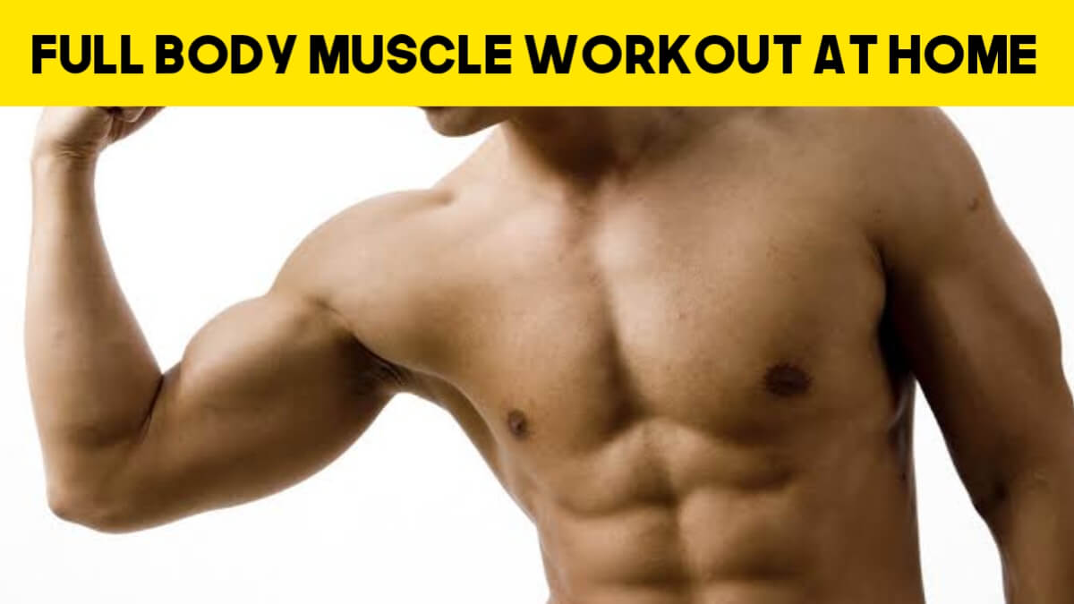 Full Body Muscle Workout At Home