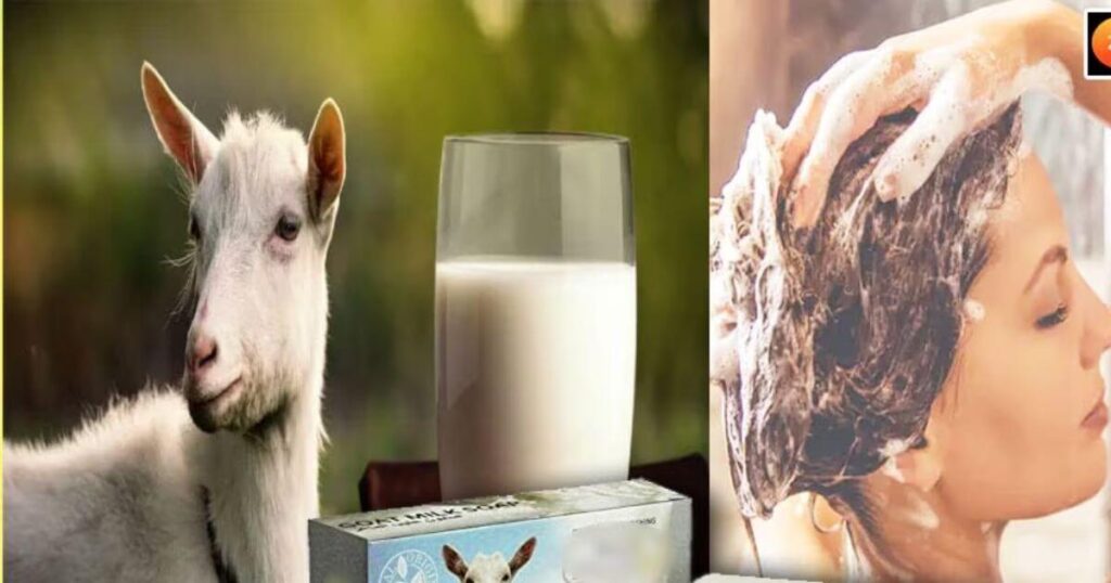 Goat Milk Benefits For Skin
