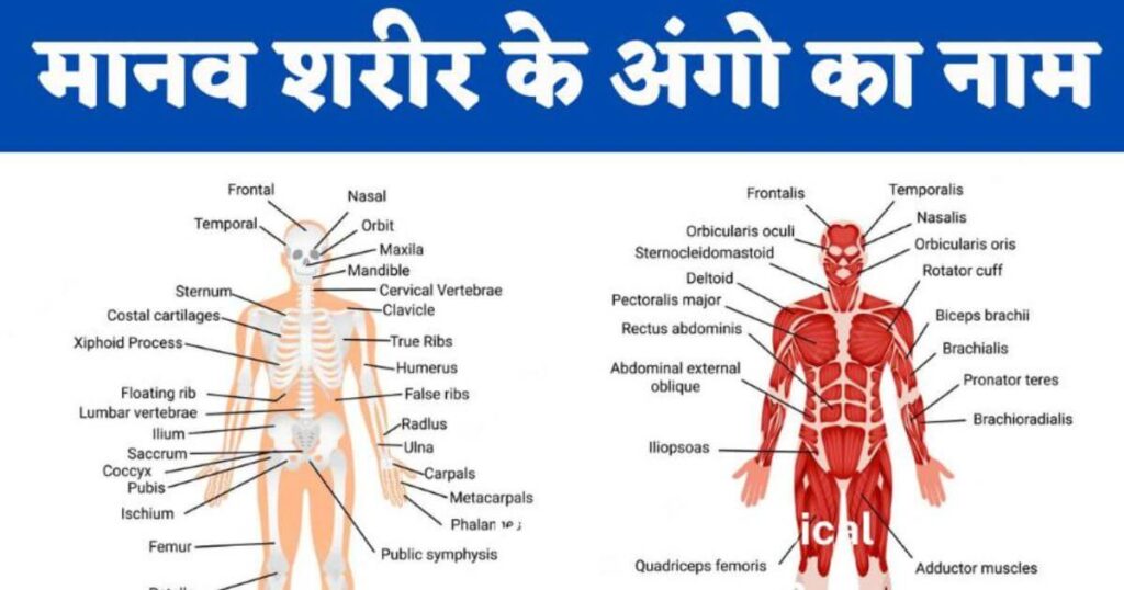 Health Fitness Tips For Men