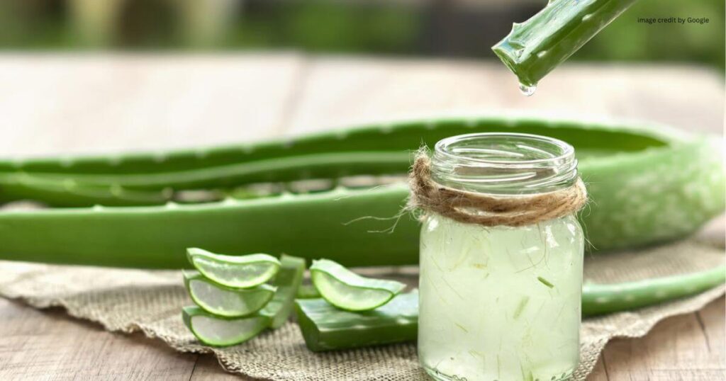 Winter Dry Skin Home Remedies
